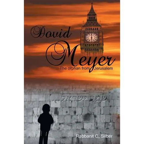 Dovid Meyer: The Orphan from Jerusalem - Paperback