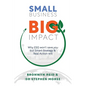 Small Business Big Impact: Why ESG won't save you but Smart Strategy & Real Action will - Paperback