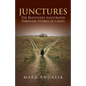 Junctures: The Beatitudes Illustrated Through Stories of Crises - Paperback