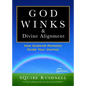 Godwinks & Divine Alignment: How Godwink Moments Guide Your Journey - Paperback