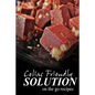 Celiac Friendly Solution - On-the-Go Recipes: Ultimate Celiac cookbook series for Celiac disease and gluten sensitivity - Paperback