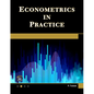 Econometrics in Practice - Hardcover