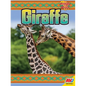 Giraffe - Paperback