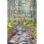In Passing: Through The Leader's Wake - Paperback