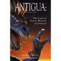 Antigua the Land of Fairies Wizards and Heroes (Part 1) - Paperback