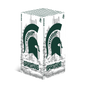 Michigan State Xbox X/S VarsityWrapz