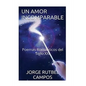 Un Amor Incomparable: Poemas Romanticos del Siglo XXI - Paperback