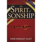 The Spirit of Sonship: An Apostolic Grace - Paperback