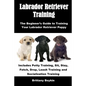 Labrador Retriever Training: The Beginner's Guide to Training Your Labrador Retriever Puppy: Includes Potty Training, Sit, Stay, Fetch, Drop, Leash - Paperback