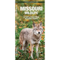 Missouri Wildlife: A Folding Pocket Guide to Familiar Animals - Hardcover