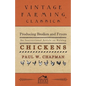 Producing Broilers and Fryers - An Instructional Article on Raising Chickens - Paperback