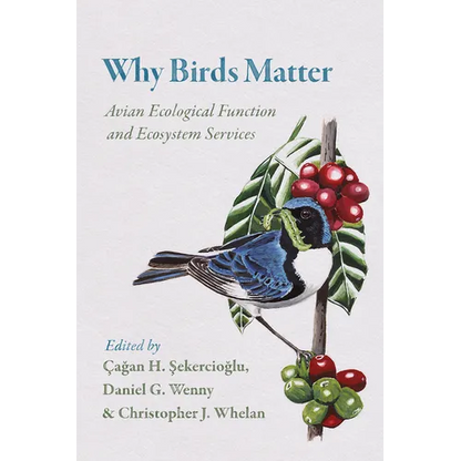 Why Birds Matter: Avian Ecological Function and Ecosystem Services - Paperback
