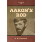 Aaron's Rod - Paperback