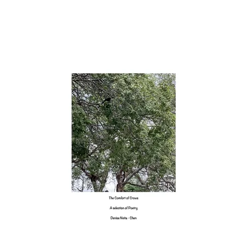 The Comfort of Crows - Paperback