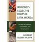Indigenous Collective Rights in Latin America: The Role of Coalitions, Constitutions, and Party Systems - Hardcover