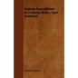 Ogham Inscriptions in Ireland, Wales, and Scotland - Paperback