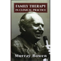 Family Therapy in Clinical Practice - Paperback