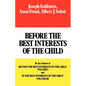 Before the Best Interests of the Child - Paperback