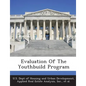 Evaluation of the Youthbuild Program - Paperback