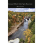 Ground Effect After Spin Recovery - Hardcover
