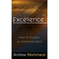 Excellence: How to Pursue an Excellent Spirit - Hardcover
