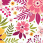 Multi Pink Daybreak Berry Cotton Wideback Fabric per yard