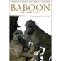 Baboon Metaphysics: The Evolution of a Social Mind - Paperback
