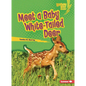 Meet a Baby White-Tailed Deer - Paperback