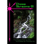 Chaos Streams 01 - Paperback