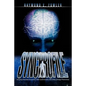 SynchroFile: Amazing Personal Encounters With Synchronicity And Other Strange Phenomena - Paperback