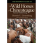 The Hoofprints Guide to the Wild Horses of Chincoteage National Wildlife Refuge - Paperback
