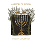 A History of Judaism - Paperback