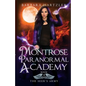 Montrose Paranormal Academy, Book 4: The Seer's Army: A Young Adult Urban Fantasy Academy Novel - Paperback