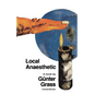 Local Anaesthetic - Paperback