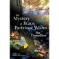 The Mystery at Black Partridge Woods - Paperback