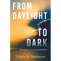 From Daylight to Dark: Finding Work in an Inaccessible World - Paperback
