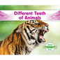 Different Teeth of Animals - Library Binding
