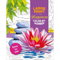 Large Print Happiness Color-By-Number - Paperback