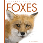 Foxes - Library Binding