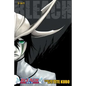 Bleach (3-In-1 Edition), Vol. 14: Includes Vols. 40, 41 & 42 - Paperback