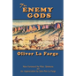 The Enemy Gods - Paperback