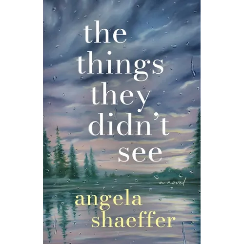 The Things They Didn't See - Paperback