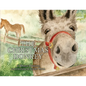 The Christmas Donkey - Paperback