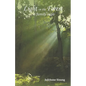 Light in the Forest: A Family Saga - Paperback