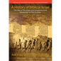 A History of Biblical Israel - Paperback