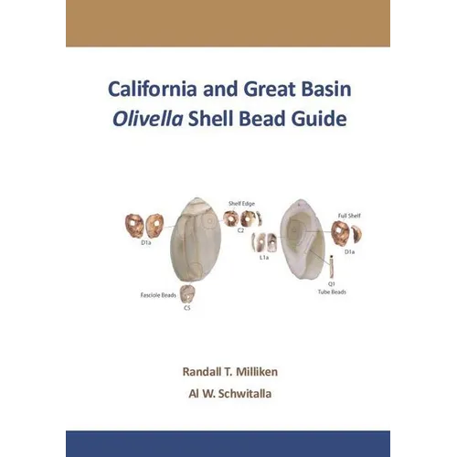 California and Great Basin Olivella Shell Bead Guide - Spiral