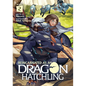 Reincarnated as a Dragon Hatchling (Light Novel) Vol. 2 - Paperback