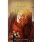 Egg of the Dragon: A Young Adult Fantasy Adventure - Paperback