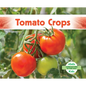 Tomato Crops - Library Binding