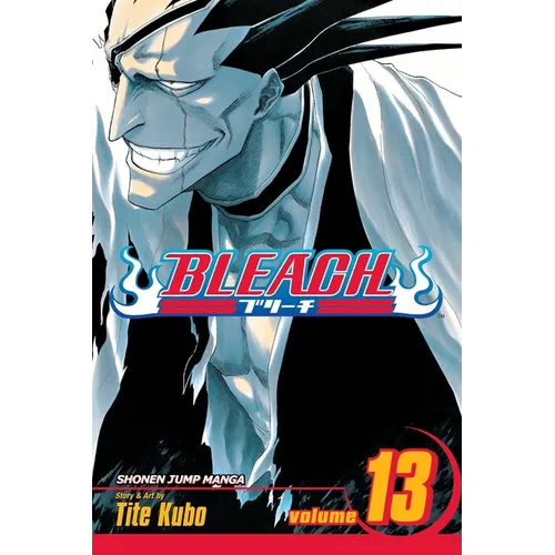 Bleach, Vol. 13 - Paperback